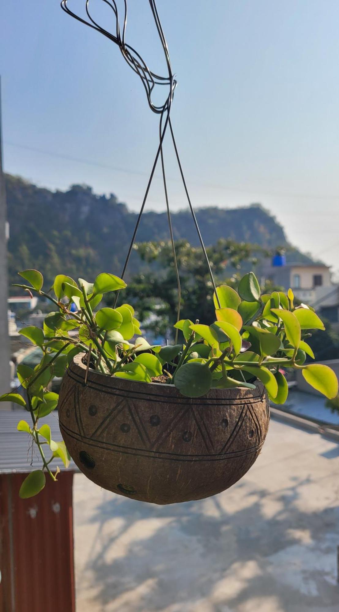 מלון Chan Chau Tiny Garden House Cat Ba מראה חיצוני תמונה